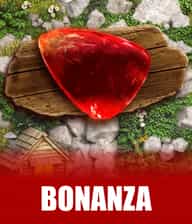 Bonanza