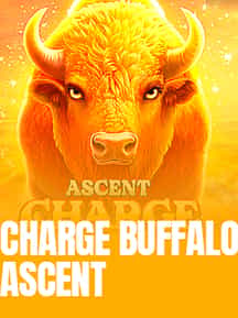 Charge Buffalo-ASCENT