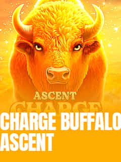 Charge Buffalo-ASCENT