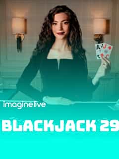 Blackjack 29