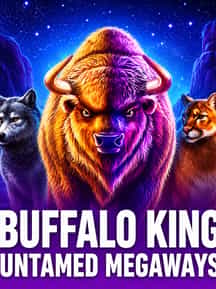 Buffalo King Untamed Megaways