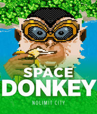 Space Donkey