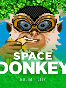 Space Donkey