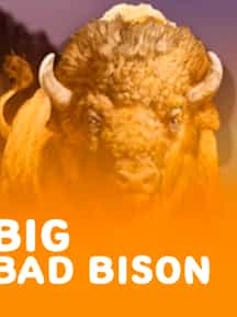 Big Bad Bison
