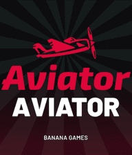 Aviator Donald