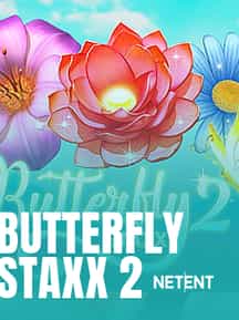 Butterfly Staxx 2