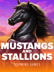 Mustangs and Stallions