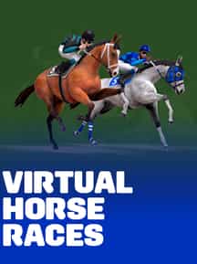 Virtual Horse Races