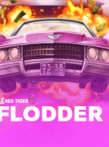 Flodder