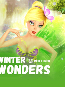 Winter Wonders
