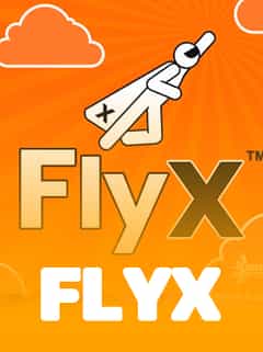FlyX