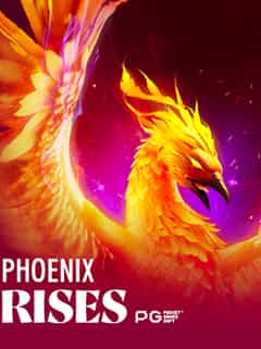 Phoenix Rises