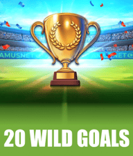 20 Wild Goals