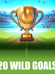 20 Wild Goals