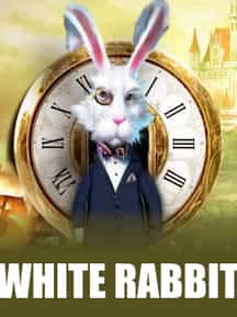 White Rabbit