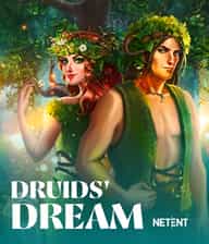 Druids' Dream