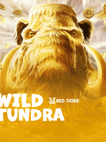 Wild Tundra