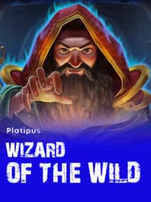 Wizard of the Wild