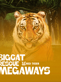 Big Cat Rescue Megaways