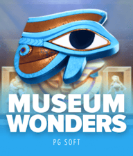 Museum Wonders