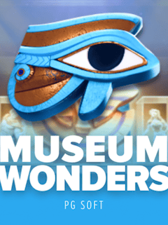 Museum Wonders