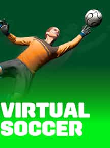 Virtual Soccer