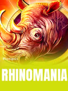 Rhino Mania