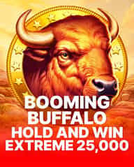 Booming Buffalo Hold and Win Extreme 25,000