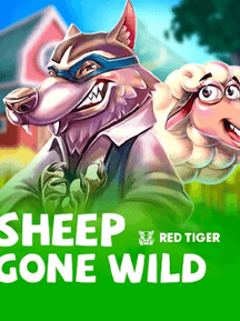 Sheep Gone Wild