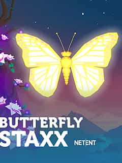 Butterfly Staxx