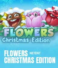 Flowers Christmas