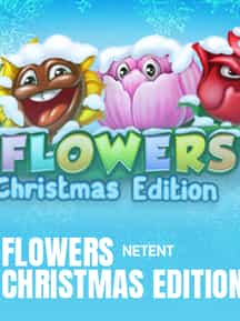 Flowers Christmas