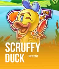 Scruffy Duck