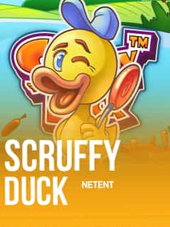 Scruffy Duck