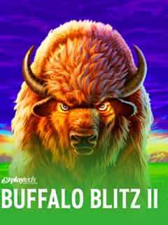 Buffalo Blitz II