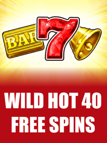 Wild Hot 40 Free Spins