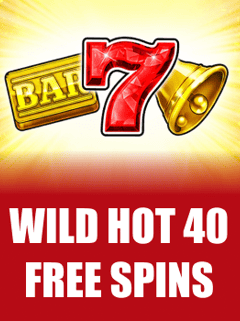 Wild Hot 40 Free Spins