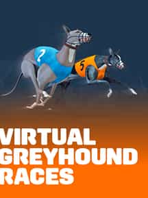 Virtual Greyhound Races