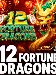 12 Fortune Dragons