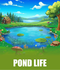 Pond Life