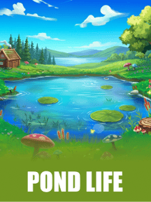 Pond Life
