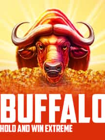 Buffalo Hold and Win Extreme