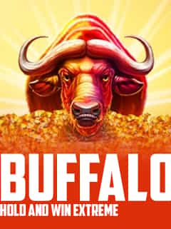 Buffalo Hold and Win Extreme