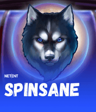 Spinsane