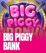 Big Piggy Bank