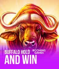 Buffalo Hold and Win