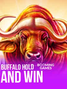 Buffalo Hold and Win