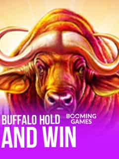 Buffalo Hold and Win