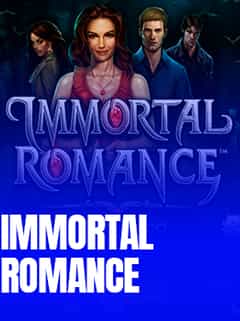 Immortal Romance Video Bingo